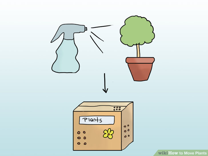 Move Plants Step 7